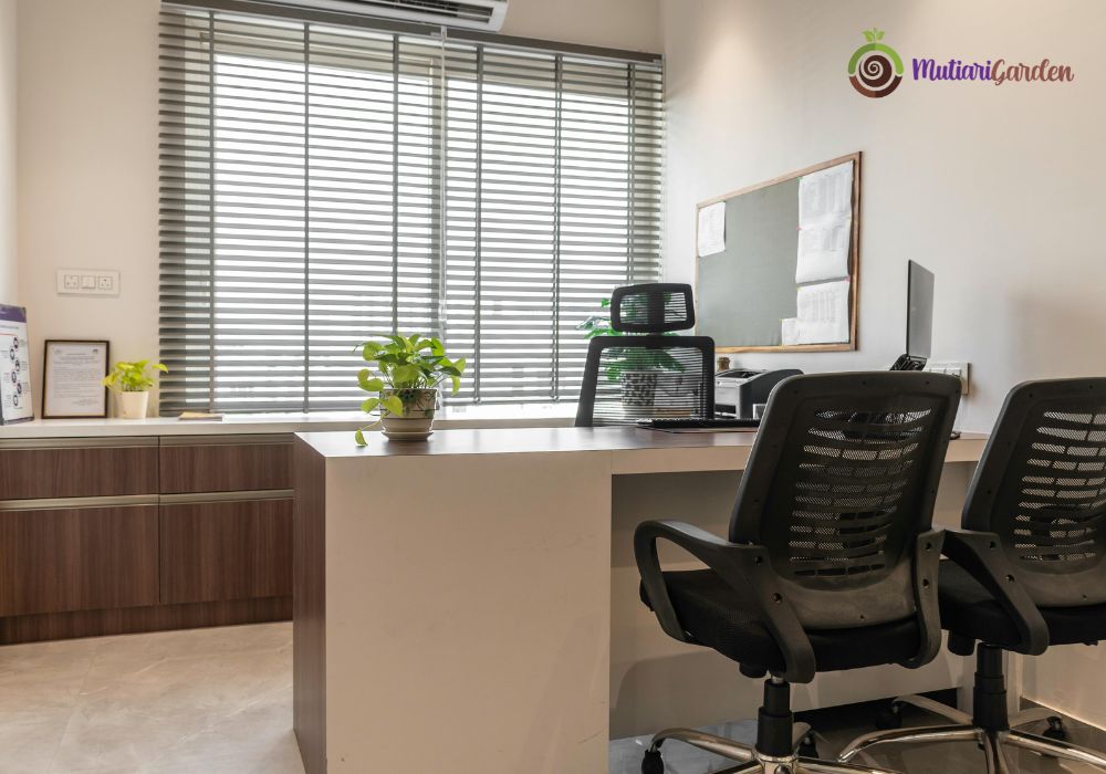 Sewa Tanaman Hias di PT Landmark Building